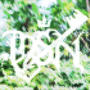 HOLOTTA (MSN) [Explicit]