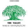 The Valley - Single