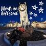 damn im awesome (Explicit)