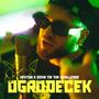 W moim ogrodecku (T challabeatz Remix) [Explicit]