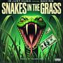 Snakes in the Grass (feat. DaKing) [Explicit]