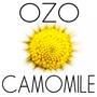 CAMOMILE