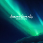 Aurora Borealis Meditation: Northern Lights Relaxation Music