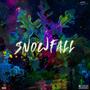 Snowfall (feat. LionRos) [Radio Edit]