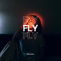 Fly