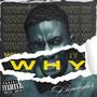 Why (Explicit)