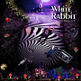 White Rabbit (Explicit)