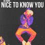 Nice To Know You (Explicit)