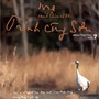 Mẹ - Cánh Chim Cô Đơn (Vol.7)