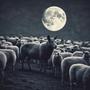 A SHEEPS COVER. (heavy christian metal)