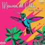 Memorias del Colibrí