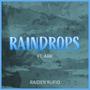 Raindrops (feat. ARK)