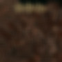 Fields of Blood (Explicit)