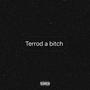 **** Terrod! (Throwaway) [Explicit]