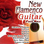 New Flamenco Guitar