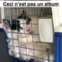 Ceci n'est pas un album (Explicit)