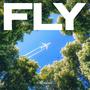 Fly