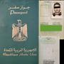 EXPIRED PASSPORT BOY (feat. Kerbs) [Explicit]