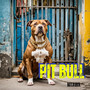 Pit Bull