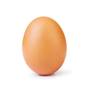 EGG (Explicit)