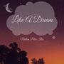 Like a Dream