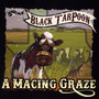 A Macing Graze (Explicit)