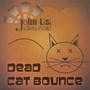 Dead Cat Bounce