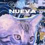 Gata Nueva (feat. 666succi)