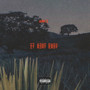 IT AINT EASY (Explicit)
