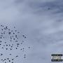 Hatmi (Explicit)