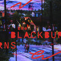 The Blackburns