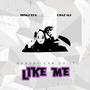 Like Me (feat. Chaz Ali)