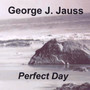 Perfect Day