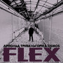 FLEX (Explicit)