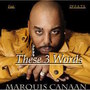 These 3 Words (feat. DJ F.A.T.S.) - Single