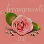 Arrangements (Explicit)