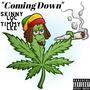 Coming Down (feat. Timmy Lee) [Explicit]