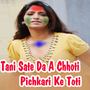 Tani Sate Da A Chhoti Pichkari Ke Toti