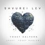 Shvurei Lev (feat. Yosef Kugler)