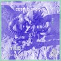 Cosmic Groove