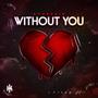 Without You