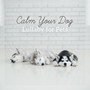 Calm Your Dog: Lullaby for Pets - Anti Anxiety, Inner Peace, Deep Relaxation Soothing Music