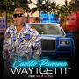 Way I Get IT (feat. Rick Ross) [Explicit]