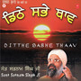 Ditthe Sabhe Thaav