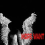 More Want (Explicit)