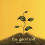 the good soil (true conversion)