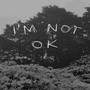 im not okay (Explicit)