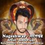 Nageshwar - নাগেশ্বর
