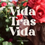 Vida Tras Vida