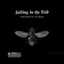 Falling in the Void (Explicit)